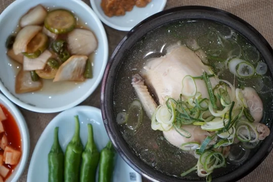 삼계탕 한 상 — 위에서 본 뚝배기 속 닭과 파, 곁의 장아찌·깍두기·풋고추